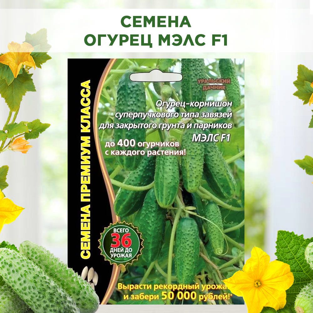 Купить Семена Огурцов Балкан