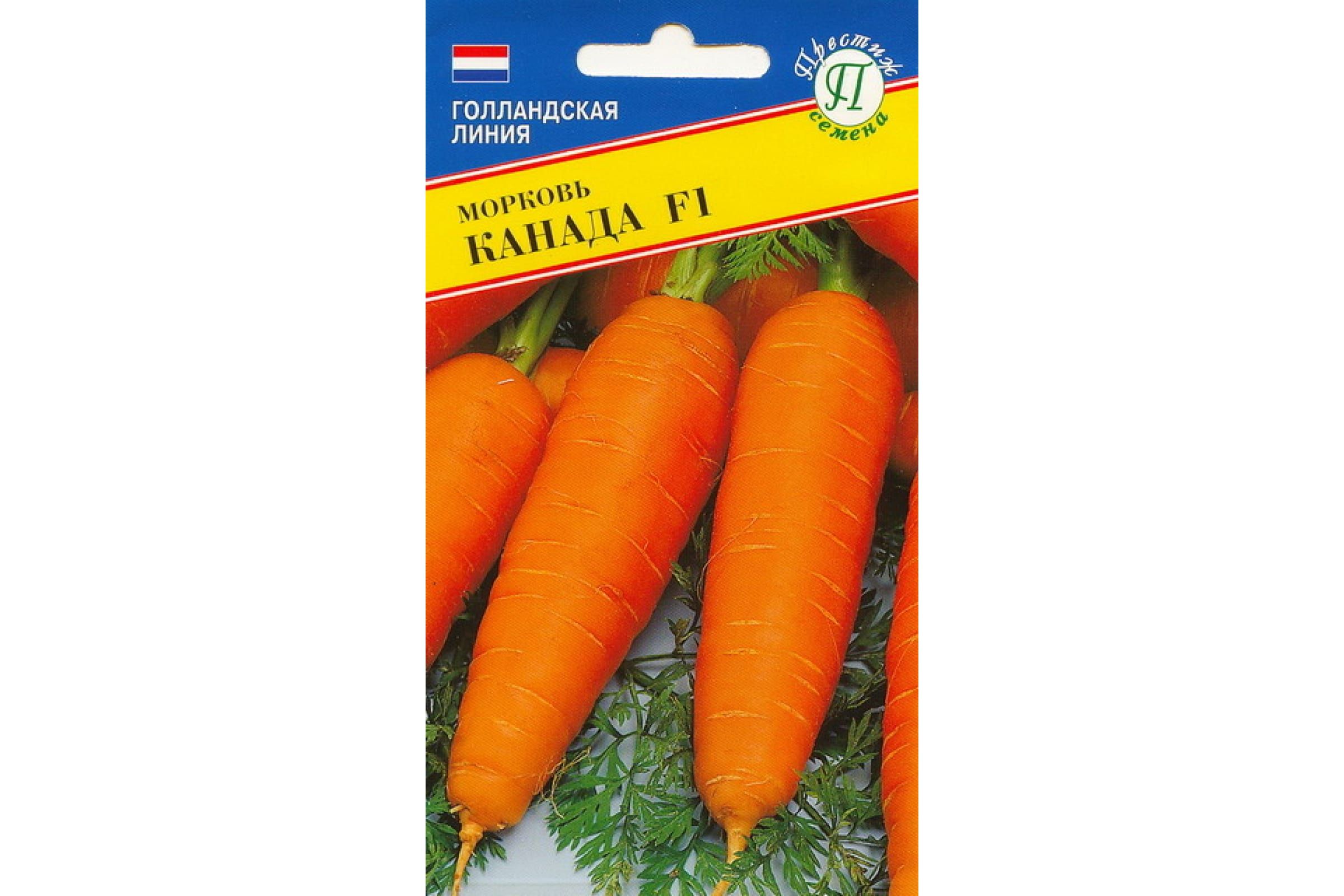 Купить Семена Моркови Боливар