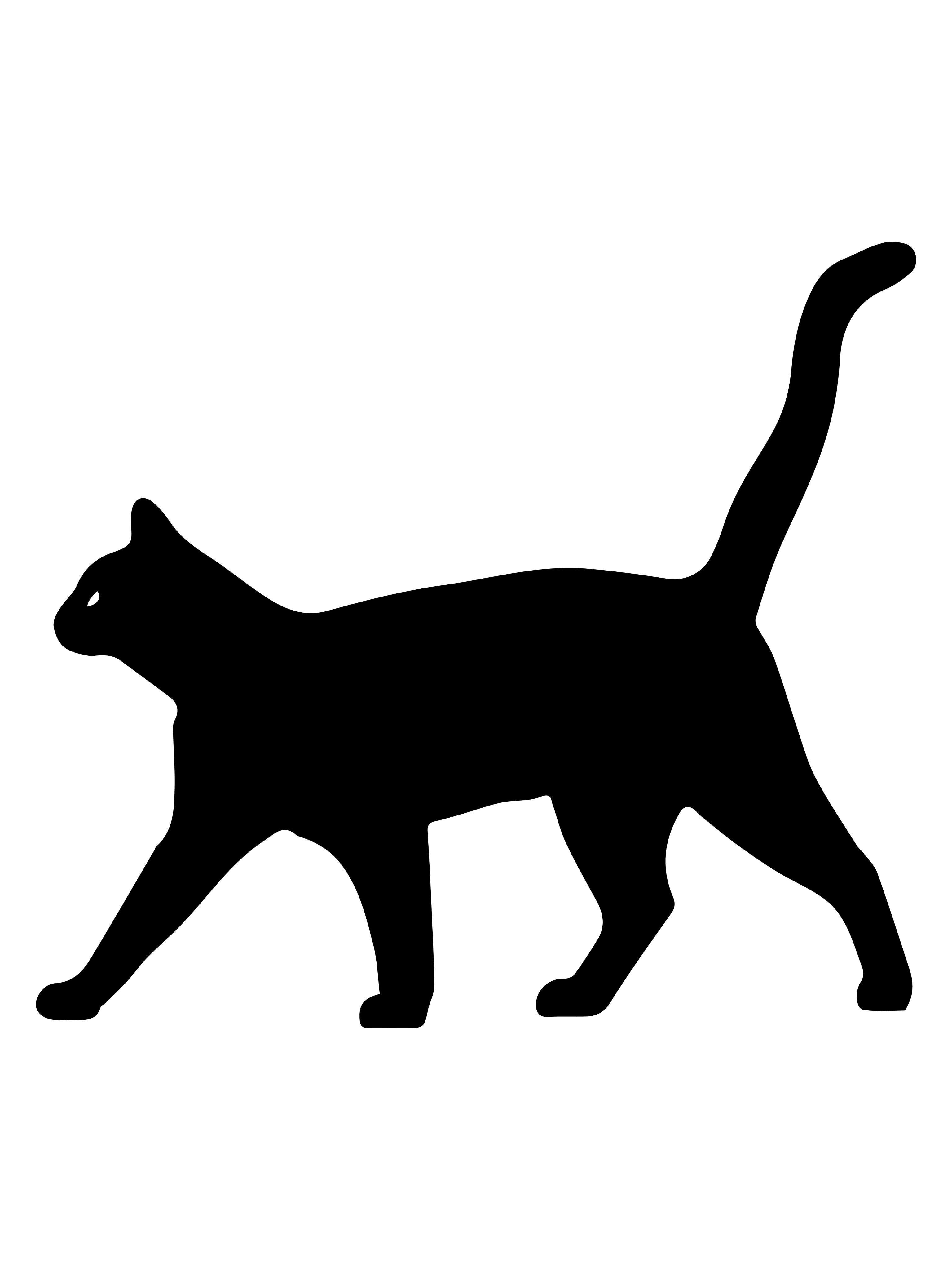 Кот сбоку
