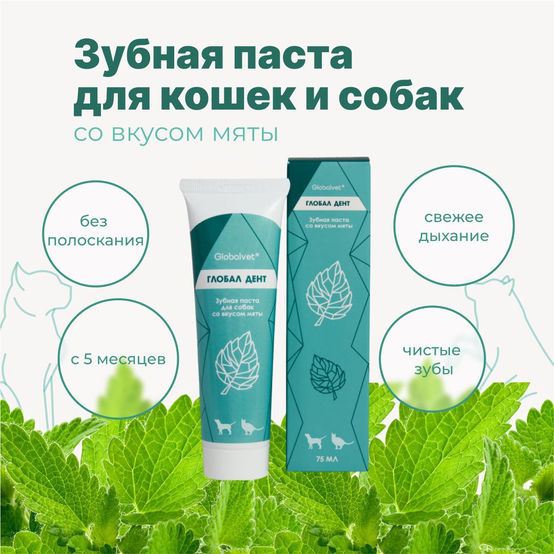 Зубная паста Globalvet Глобал Дент для собак и кошек cо вкусом мяты, 75 мл