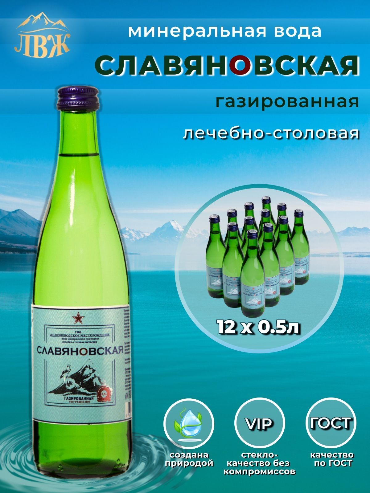 ЛВЖ Вода Минеральная Газированная 500мл. 12шт