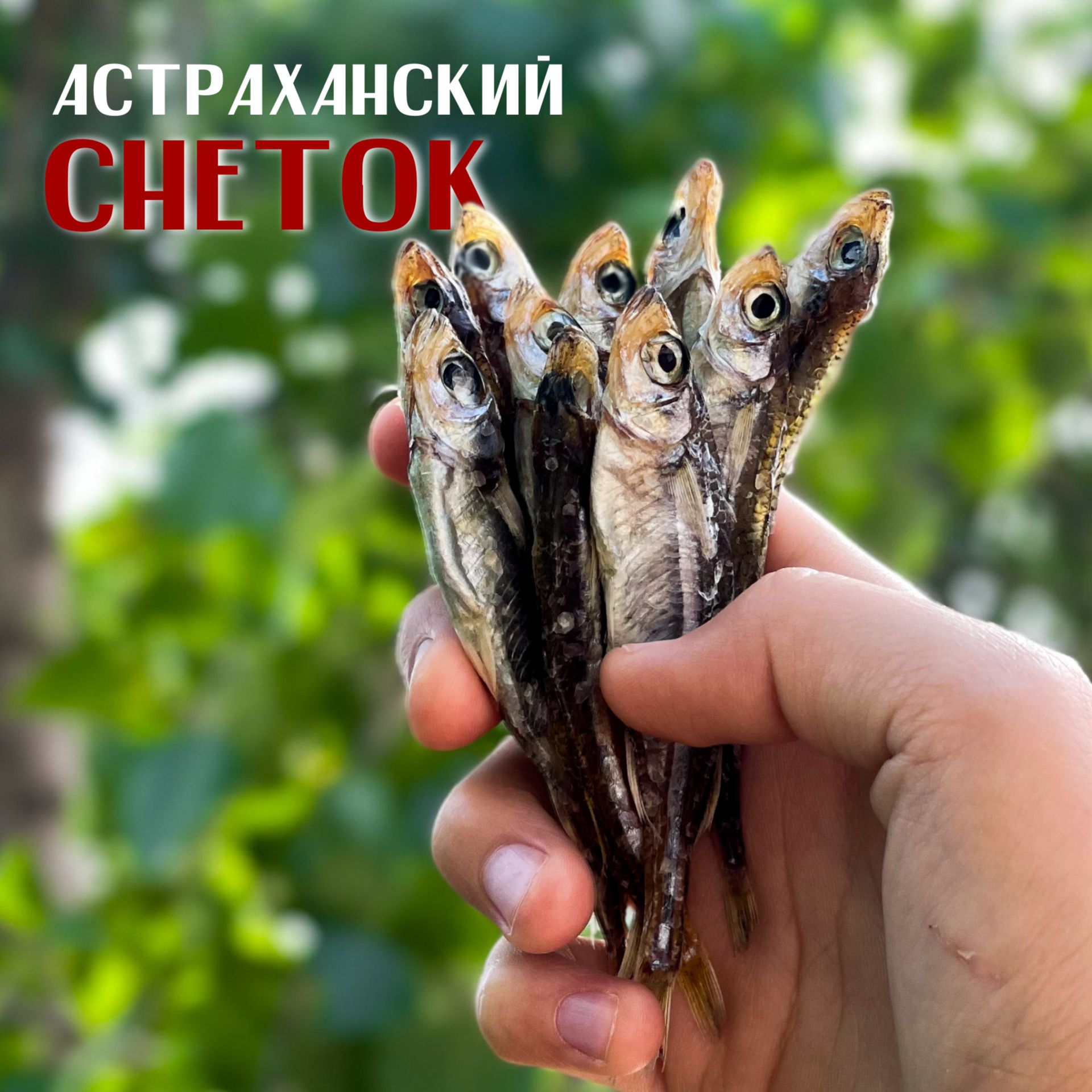 Снеток Сушеный купить на OZON по низкой цене