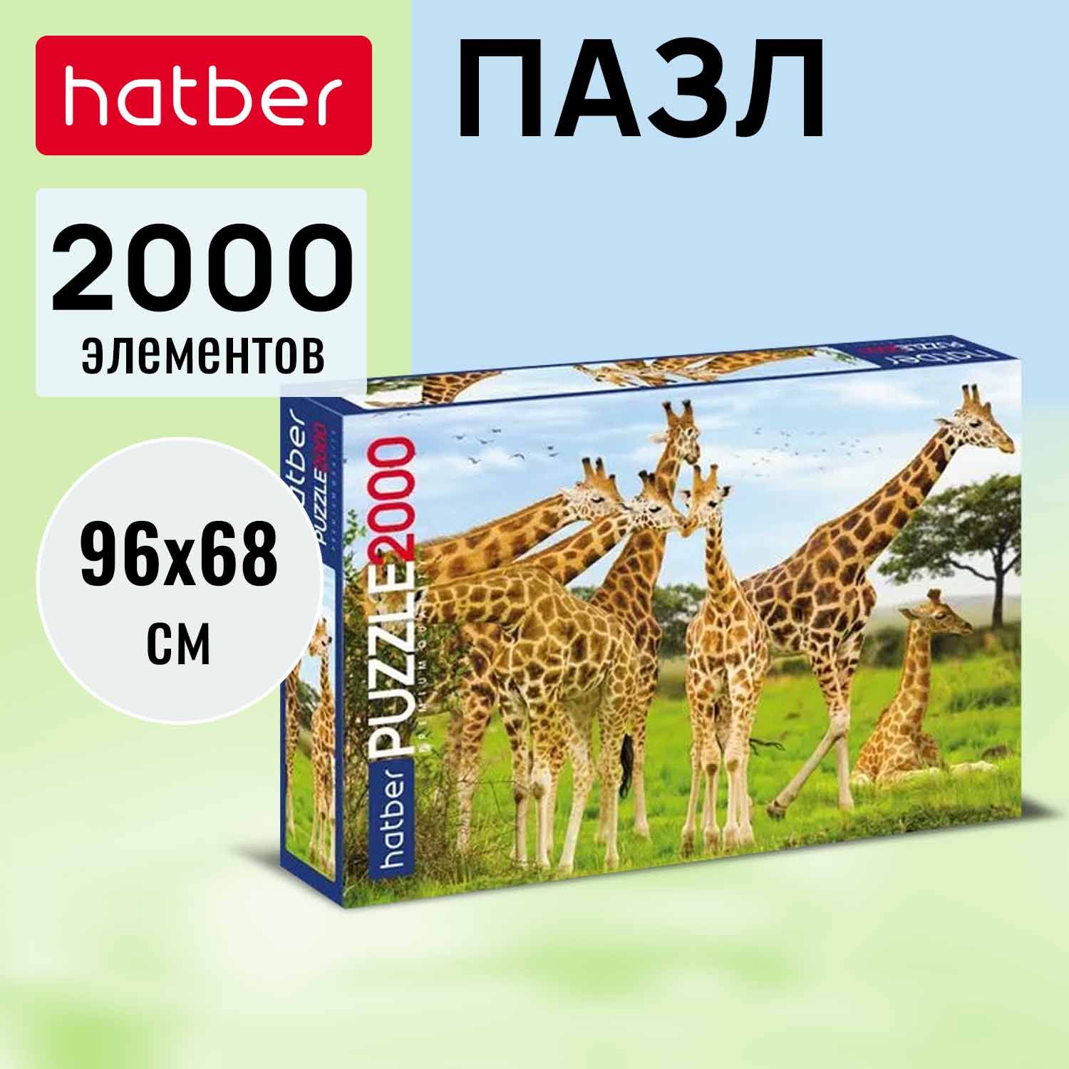 Пазлы Hatber premium 2000 элементов 960х680мм -Жирафы-