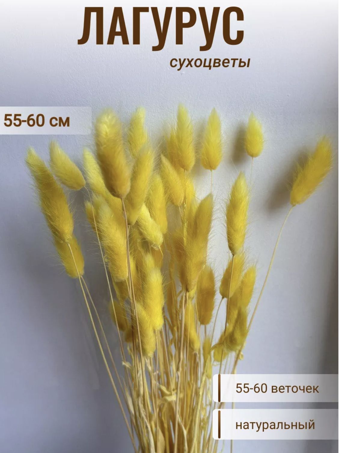 Сухоцвет Лагурус желтый пучок сухоцветов заячий хвост