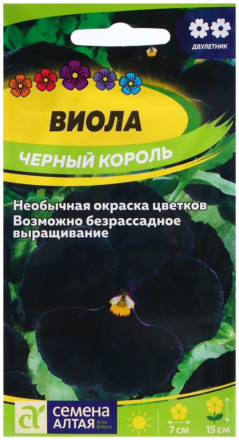 Семена Виолы Купить В Интернет Магазине