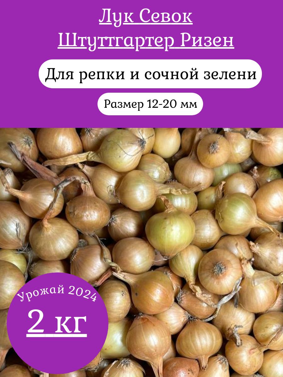 Луковицы,2кг купить на OZON...
