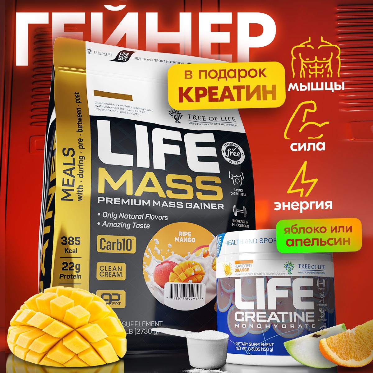 Комплекс Гейнер Tree of life Mass GAINER 6LB вкус Манго + Креатин моногидрат 150 гр. в подарок