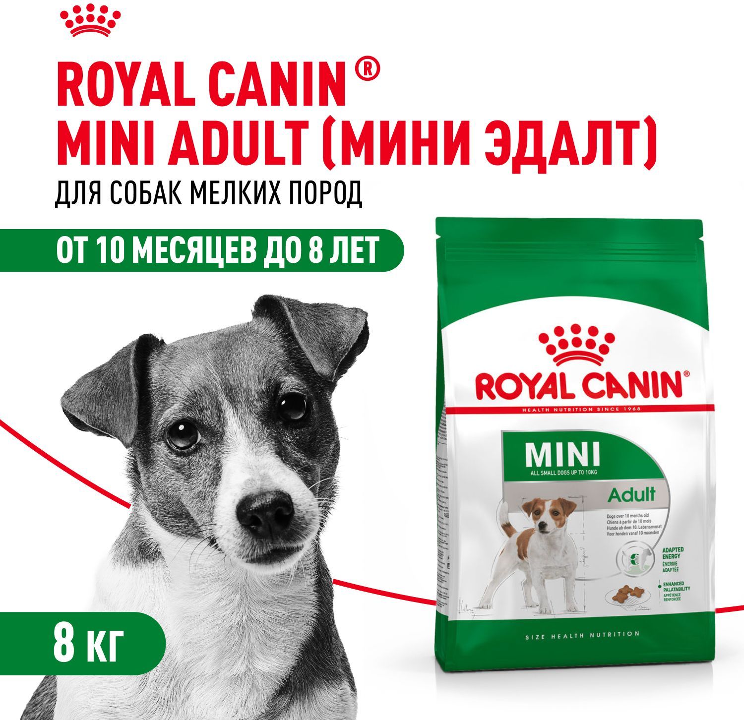 Сухой корм для собак мелких пород старше 10 месяцев Royal Canin Mini Adult, с птицей, 8 кг