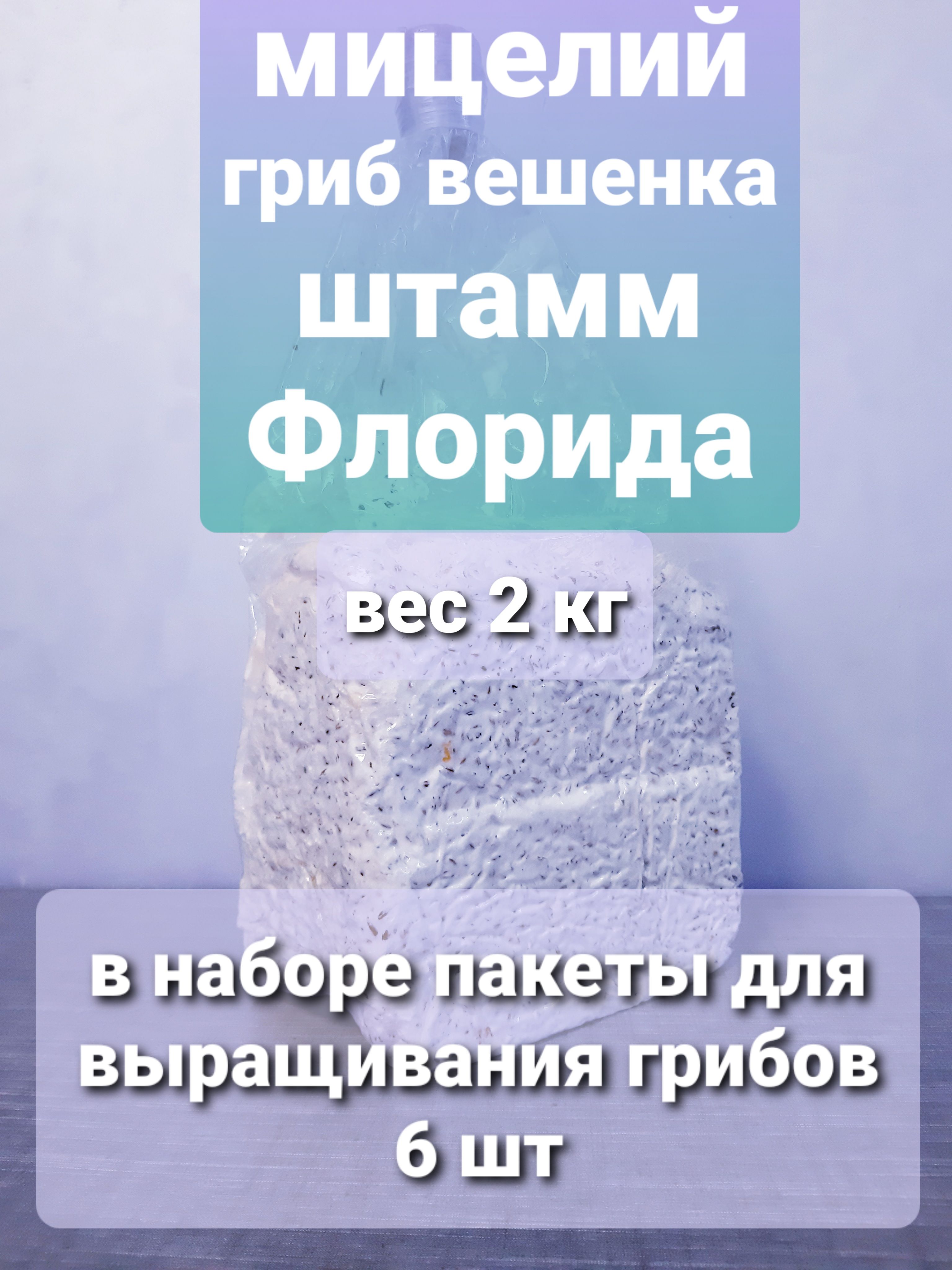 Мицелий зерновой гриб ВЕШЕНКА штамм Флорида (Флоридская устричная), вес 2 кг, Пакеты для выращивания грибов