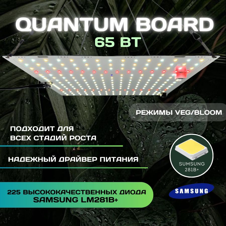 Quantum Board 65 Ватт диоды LM281B+ / фитосветильник в гроубокс / фитолампа для растений