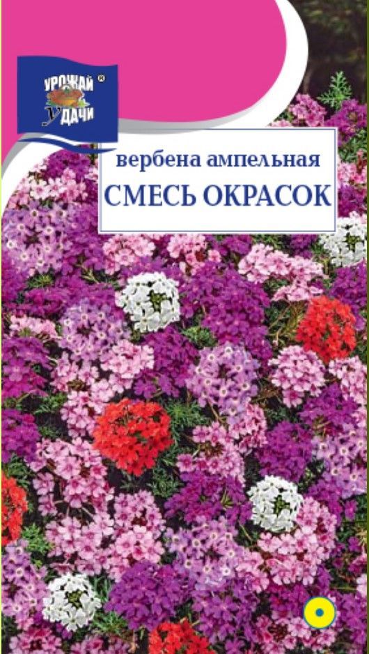 Вербена ампельная СМЕСЬ окрасок (Семена УРОЖАЙ УДАЧИ, 0,1 г семян в упаковке)