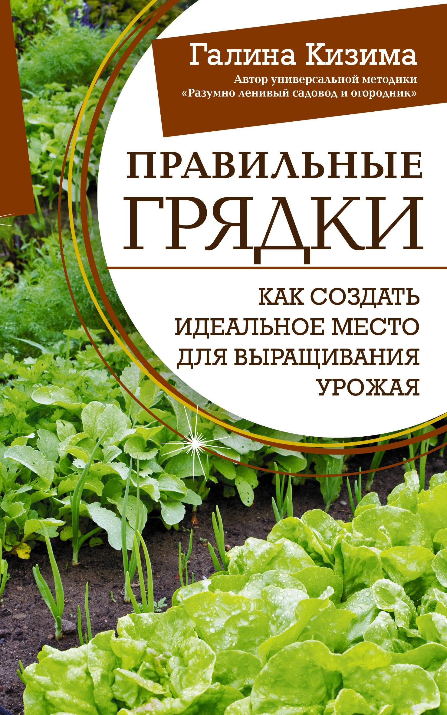 Правильные грядки. Как создать идеальное место для выращивания урожая | Кизима Галина Александровна