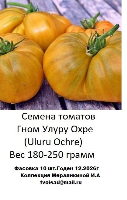 Улуру охра томат описание фото отзывы характеристика. Улуру охра томат описание фото отзывы характеристика