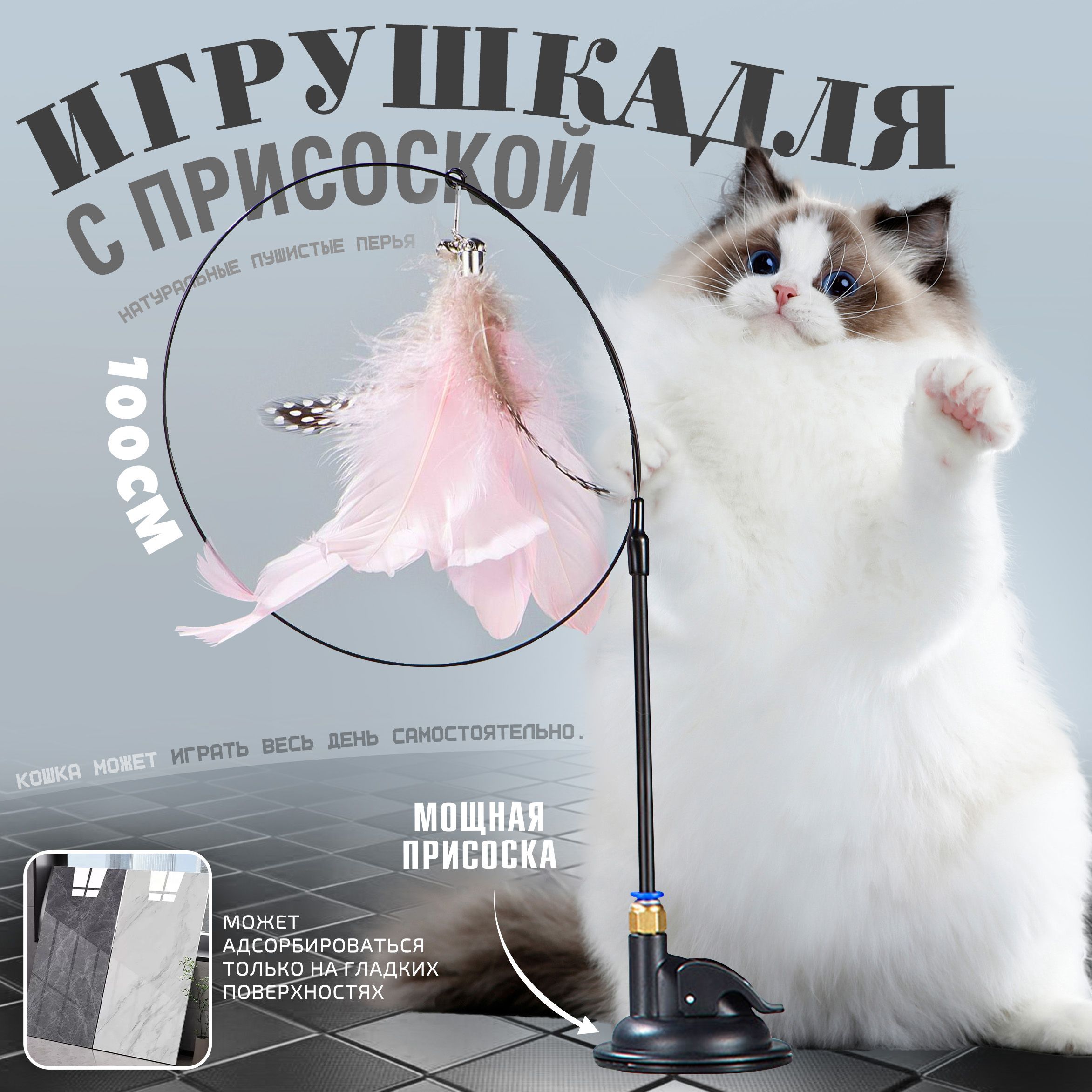 Product picture