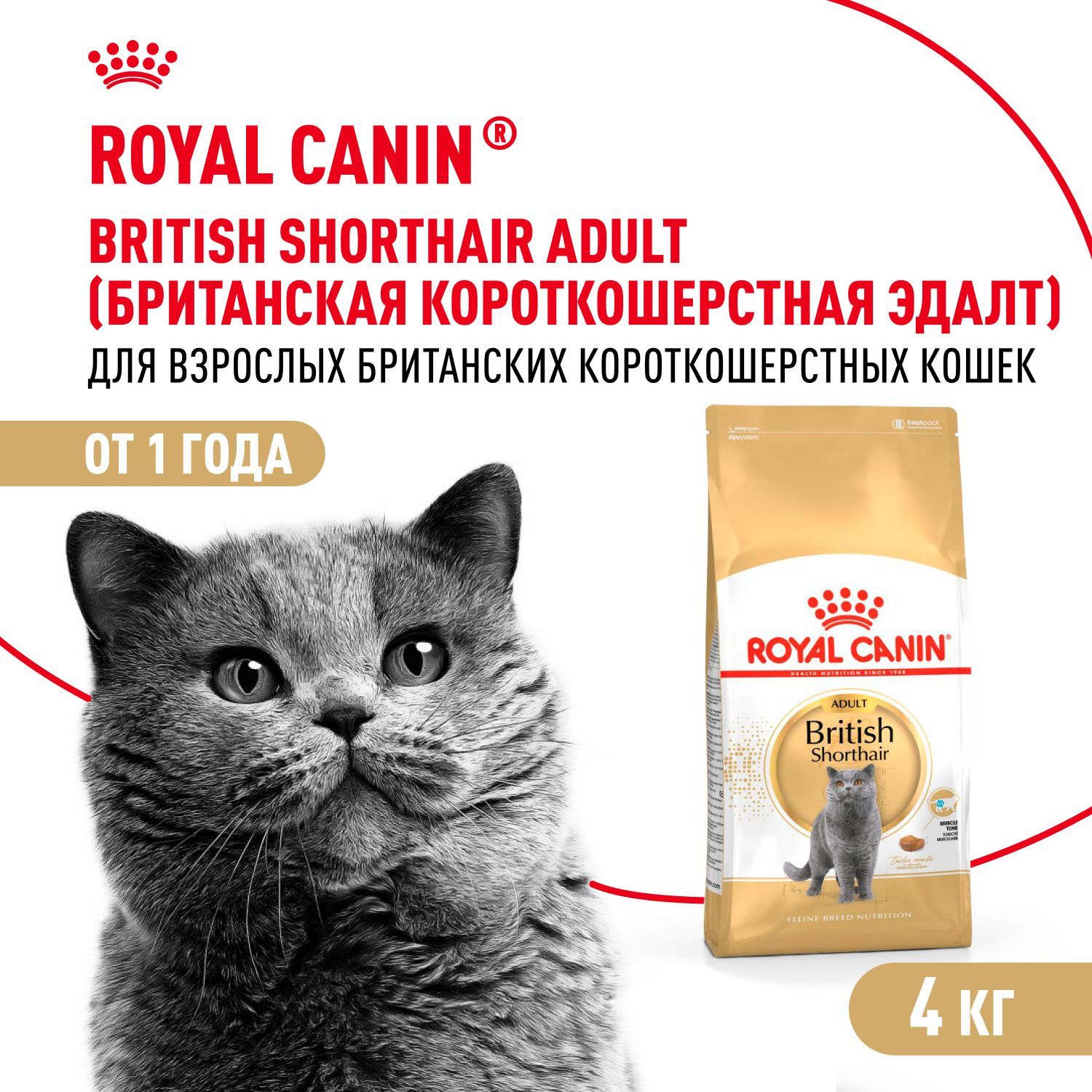 Сухой корм для кошек Royal Canin Adult британской короткошерстной породы, 4 кг