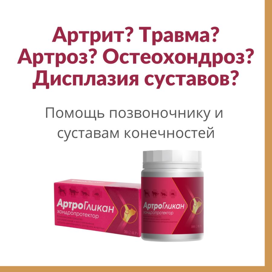 Купить Таблетки Артрогликан 300 Таблеток