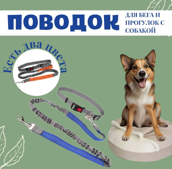Поводок для собак, на пояс, амортизирующий, эластичный, для бега с ...