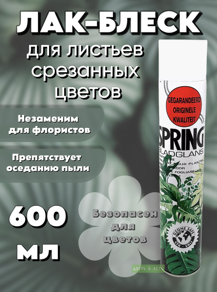 Блеск лак для листьев и срезанных цветов Spring 600мл - купить с ...