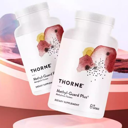 Комплекс витаминов В плюс, Methyl-Guard Plus, Thorne Research, 90 ...
