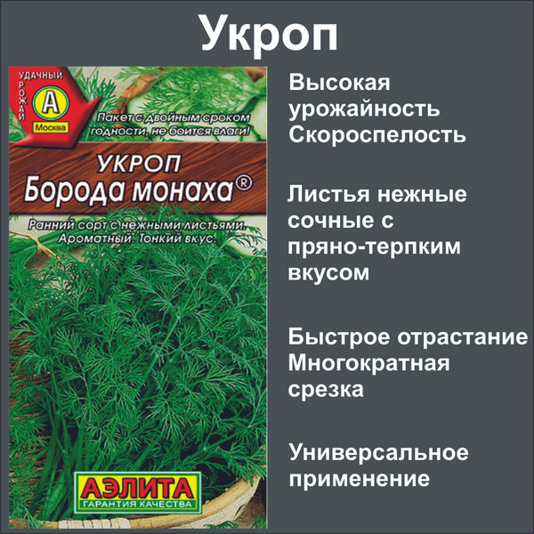 Укроп Семена_зеленьсоа_Укроп Борода Монаха, семена 3г - купить по ...
