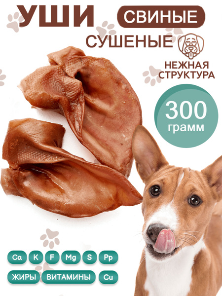 Уши свиные сушеные для собак, 300 гр. - купить с доставкой по выгодным ...