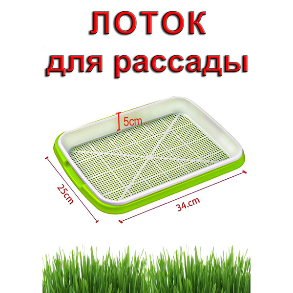 Проращиватель для микрозелени, ростков пшеницы - купить с доставкой по ...