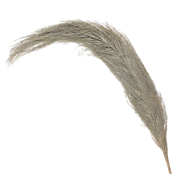 Купить Ветка декоративная, 90 см, сухоцветы, Рожь, Dried flower по ...