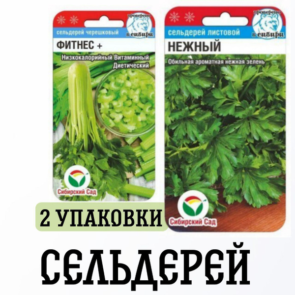 Сельдерей Сибирские Сортовые Семена сельдерей 2уп - купить по выгодным ...