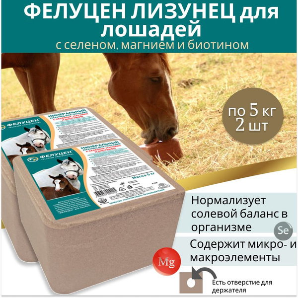 Лизунец Фелуцен с селеном, магнием и биотином для лошадей по 5 кг 2 шт ...