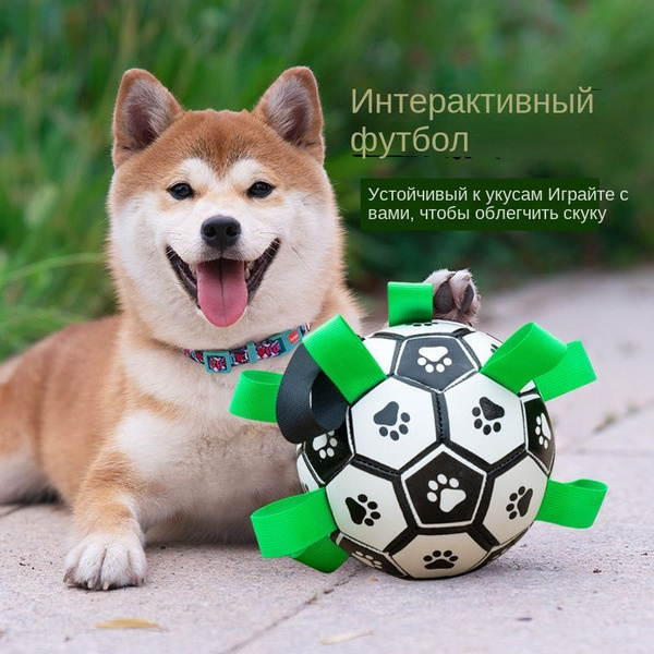 Игрушечный мячик для собак очень устойчив к укусам, и его нелегко ...