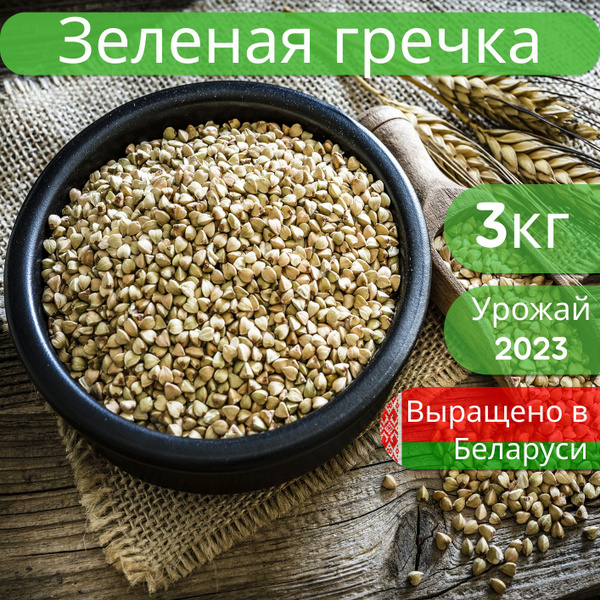 Зеленая гречка "Алеся" для каш и проращивания, 3кг - купить с доставкой ...