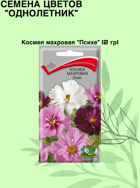 Космея космея махровая - купить по выгодным ценам в интернет-магазине ...