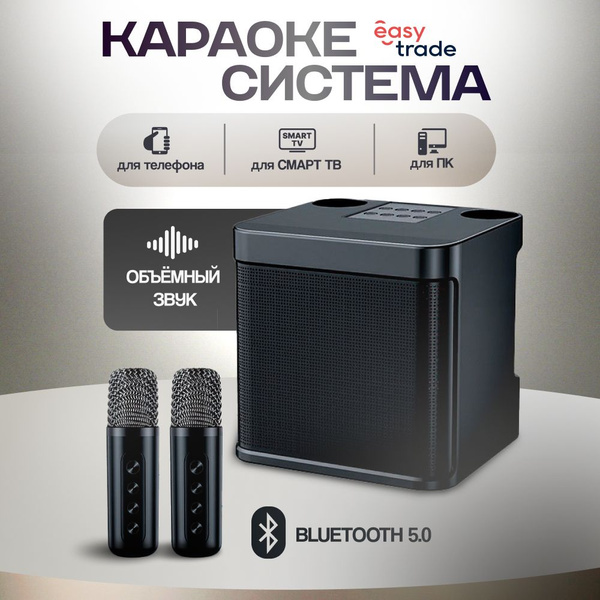Караоке система для дома с двумя микрофонами - купить с доставкой по ...