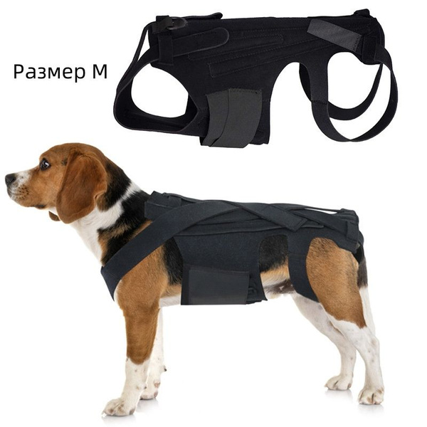 Корсет для спины собаки при болезни межпозвоночных дисков ...