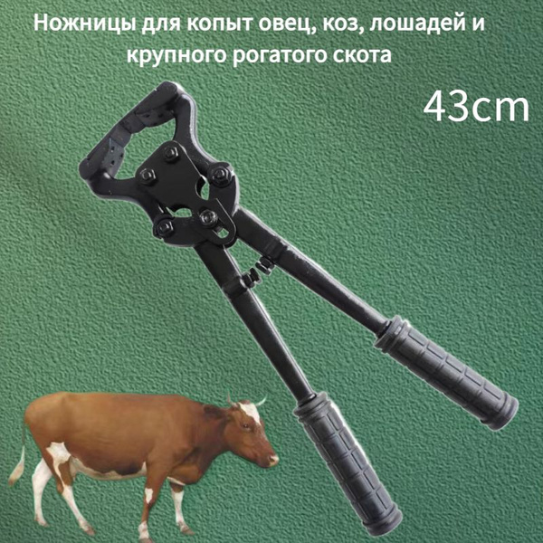 Ножницы для копыт овец, коз, лошадей и крупного рогатого скота - купить ...