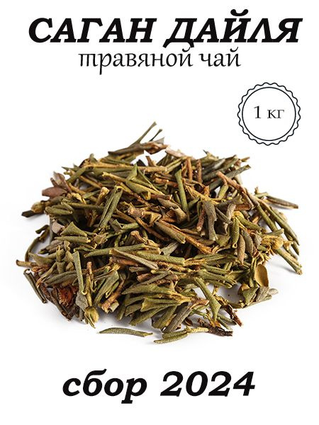 Чай Саган Дайля (Сагандали, Рододендрон Адамса, Белое крыло). Побеги ...