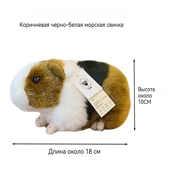 Мягкая игрушка Морская свинка, 18 см - купить с доставкой по выгодным ...