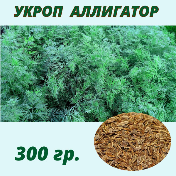 Укроп Укроп. - купить по выгодным ценам в интернет-магазине OZON ...
