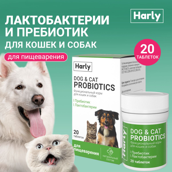 Пробиотик для собак и кошек лактобактерии для профилактики жкт - купить ...