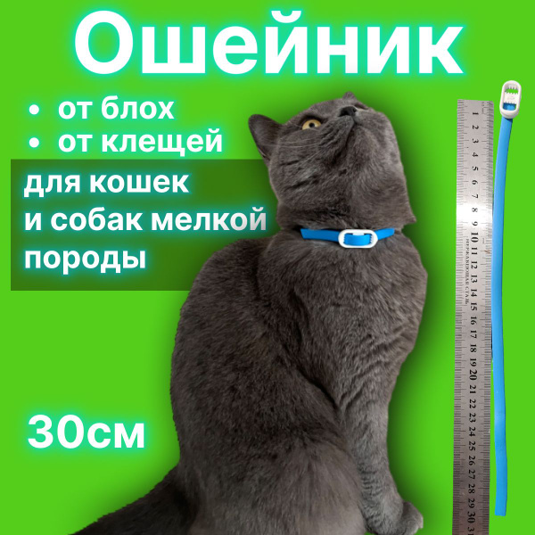 Ошейник от блох и клещей для кошек и собак мелких пород NeoFit 30 см ...