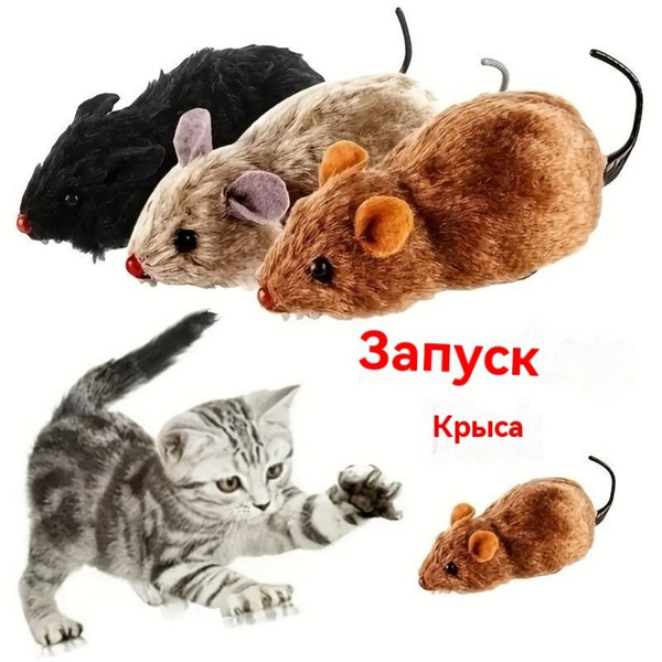 для кошек Заводные игрушки купить на OZON по низкой цене (1588490481)
