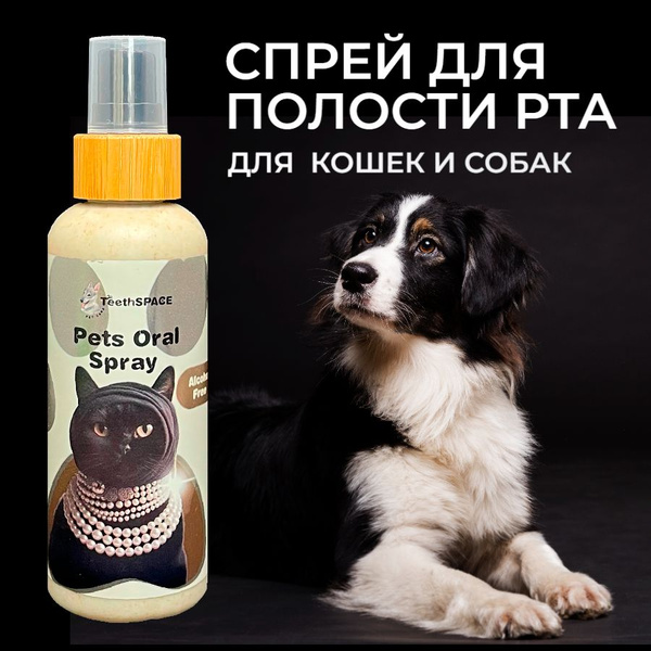 Спрей для полости рта собак и кошек TeethSPACE Pet Oral Spray, 100 мл ...