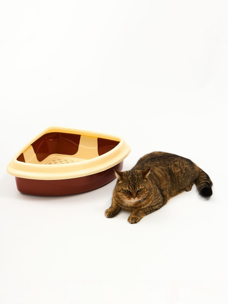 Туалет для кошек Триплекс угловой Коричневый+бежевый - купить с ...