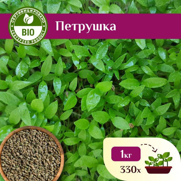 Петрушка семена для проращивания микрозелени, Ильинские проростки 1 кг ...
