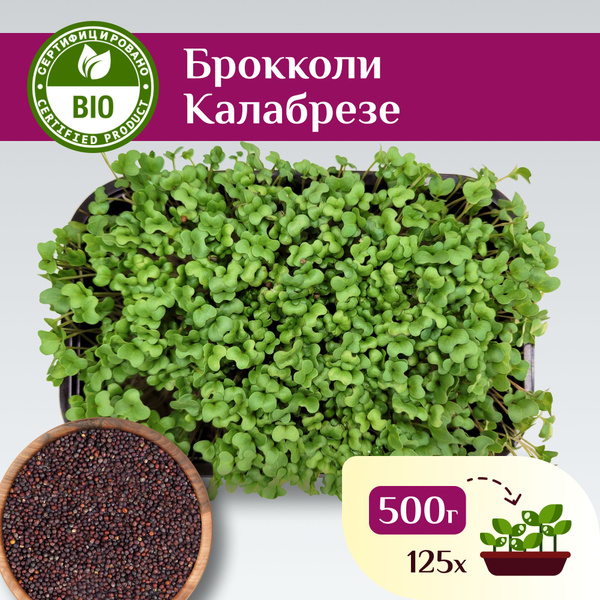 Семена Брокколи Калабрезе, Ильинские проростки 500г - купить с ...
