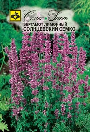 Семко Бергамота Лимонного Солнцевский (Монарда Лимонная) - купить по ...