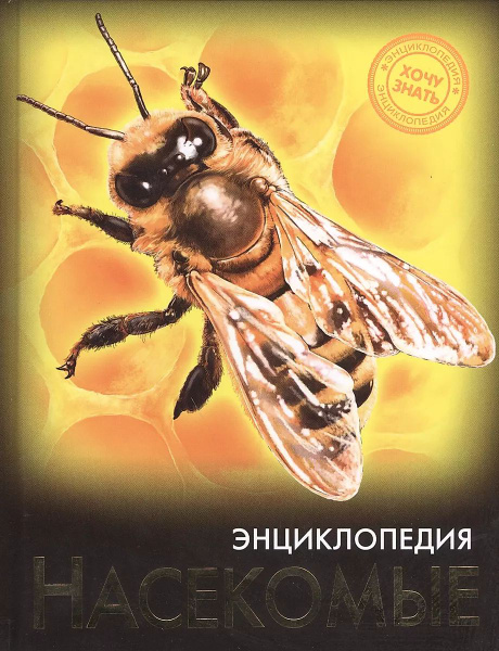 Насекомые. Энциклопедия - купить с доставкой по выгодным ценам в ...