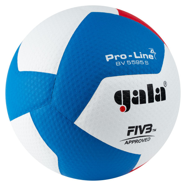 Мяч волейбольный GALA BV5595, 5 размер, белый, голубой купить по ...