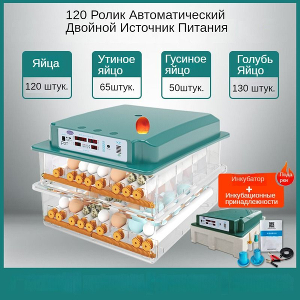 Инкубатор для яиц автоматический P-120 с терморегулятором, гигрометром ...