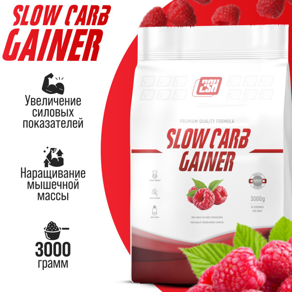 Гейнер на основе медленных углеводов 2SN Slow Carb Gainer 3000 г ...